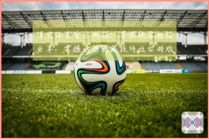 悟空体育官方网站：资深玩家经验分享，掌握这些隐藏技巧让你游戏水平飞升